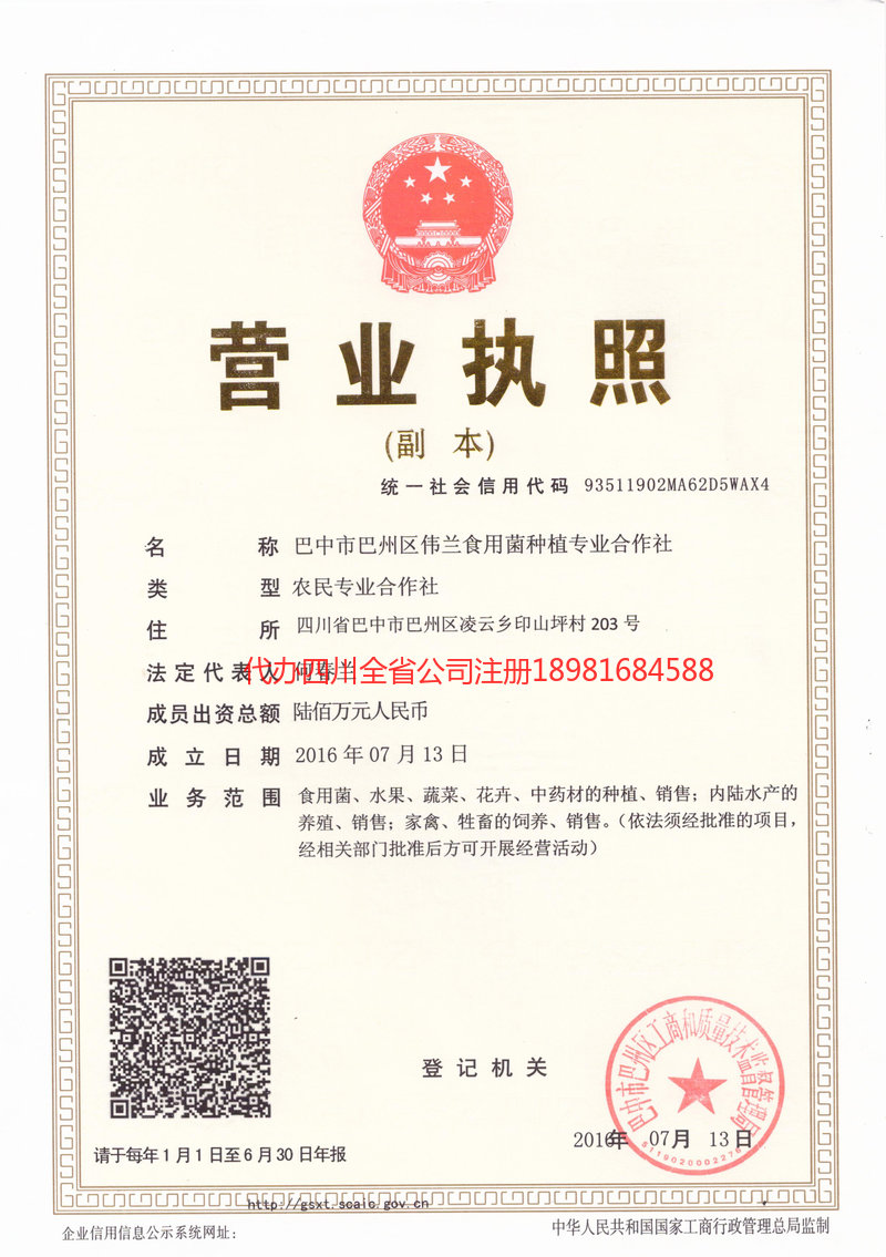 武汉武汉伟兰食用菌种植专业合作社